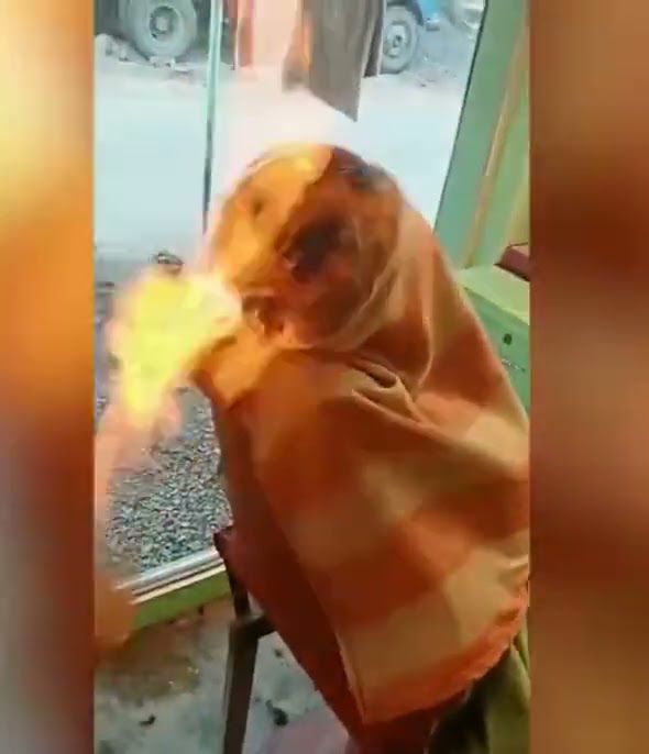 Fire hair cut gone wrong| MOJO