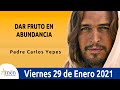 Evangelio De Hoy Viernes 29 Enero 2021 Marcos 4,26-34 l Padre Carlos Yepes