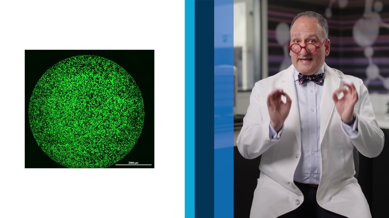 Agilent Technologies video thumbnail