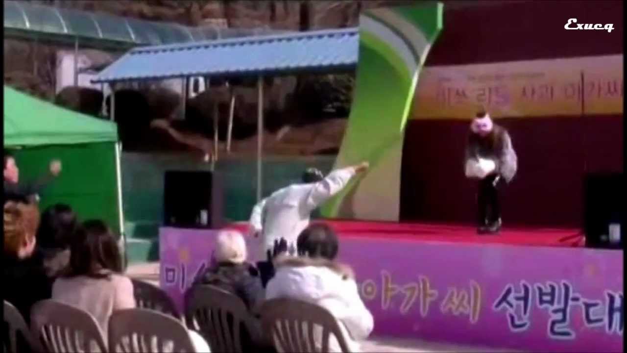 DH2 Making Film 4 - Bopeep Bopeep Perf