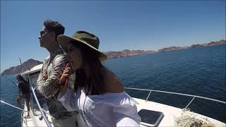 isla angel de la guarda 2019