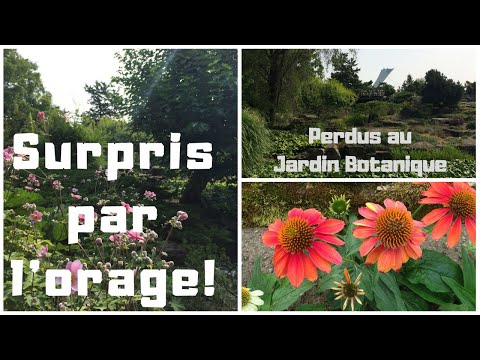 escapade-en-nature-au-jardin-botanique-de-montréal-avec-les-enfants