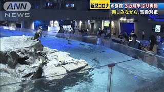 ペンギン足跡で“ディスタンス”　すみだ水族館再開(20/06/15)