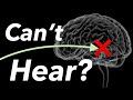 Top 10 hearing loss facts you never knew