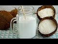 Leche de coco casera con coco rallado o seco