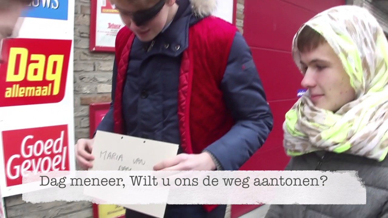 Het Dwaallicht - Groepswerk Nederlands 2017