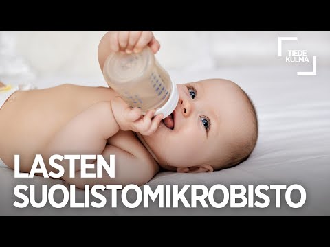 Video: Koirille siirtymisen vaikutukset