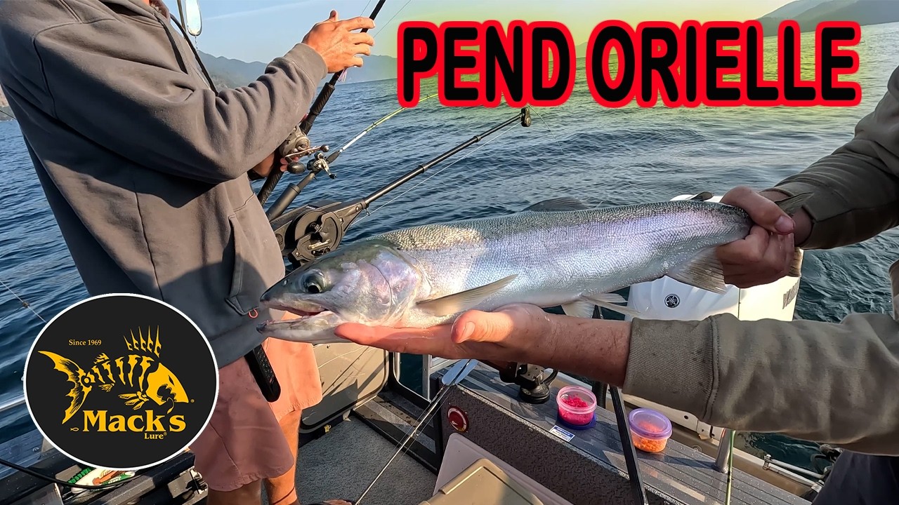 Techniques For Lake Pend Orielle Kokanee and Kamloops Rainbow Trout