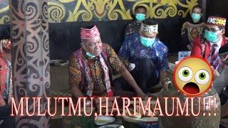 INI HUKUMAN ADAT YANG DITERIMA LUTFI HOLI