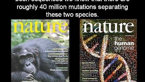 Big Numbers: Beyond Creationist Comprehension (cdk007 mirror)