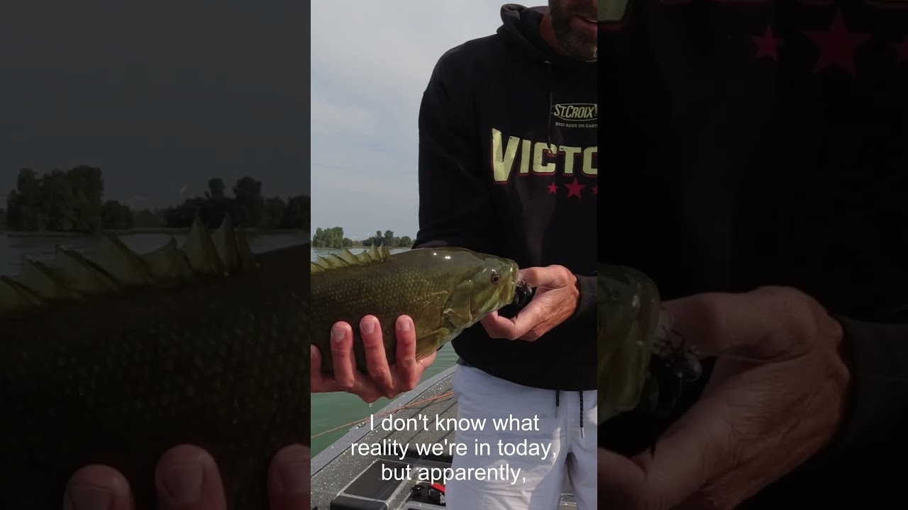 Bass on BEDS in September! 