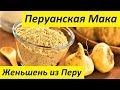 Перуанская Мака - Женьшень из Перу