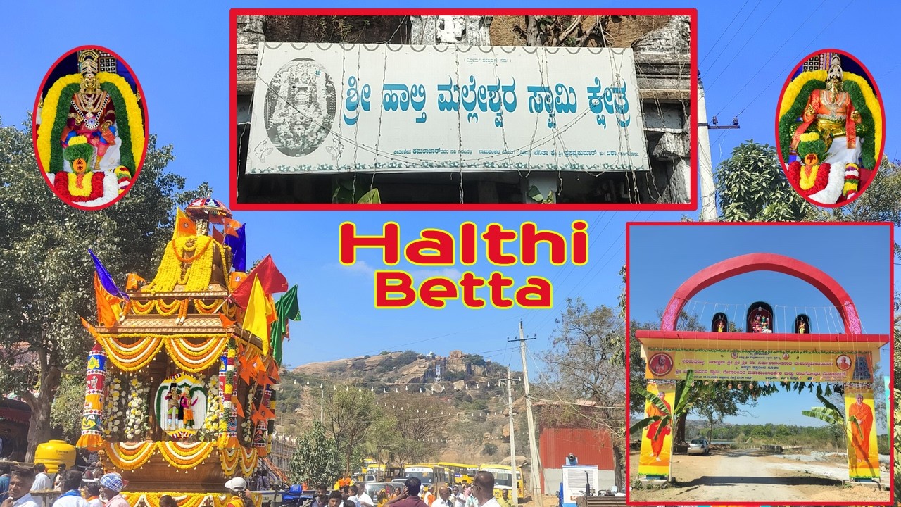 HALTHI BETTA  DALLI ONDU DENA