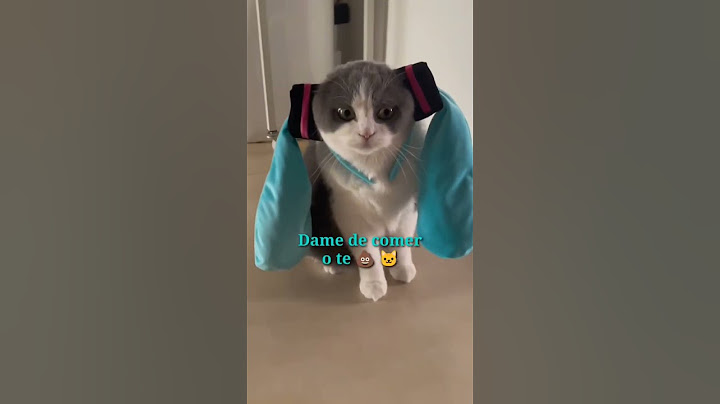 Miku es un Gato #humor #miku #gatos