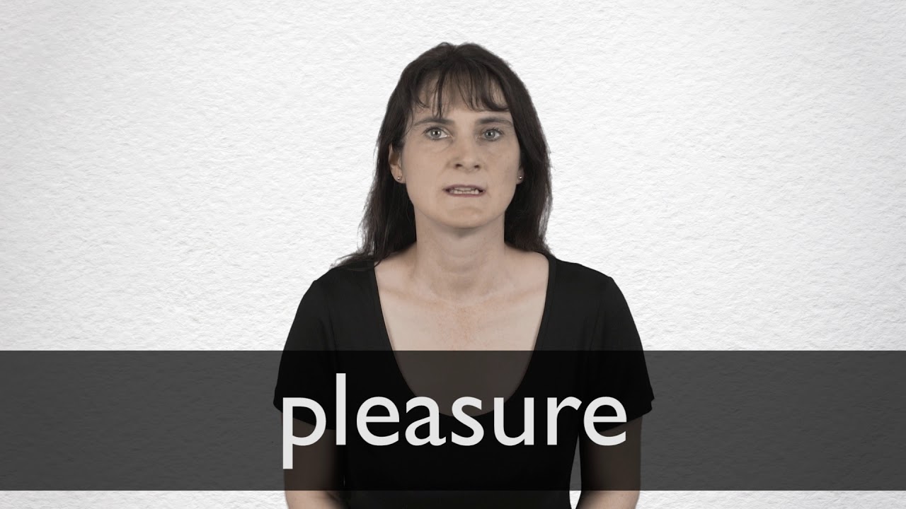 Pleasure Definition And Meaning Collins English Dictionary