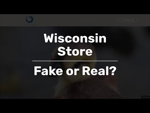 Wisconsin-store.com | Fake or Real?