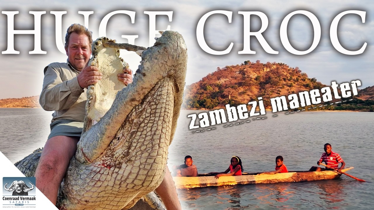 Crocodile riddim 4枚Set ジャパレゲ Huge Zambezi Maneating Croc! 17ft - YouTube