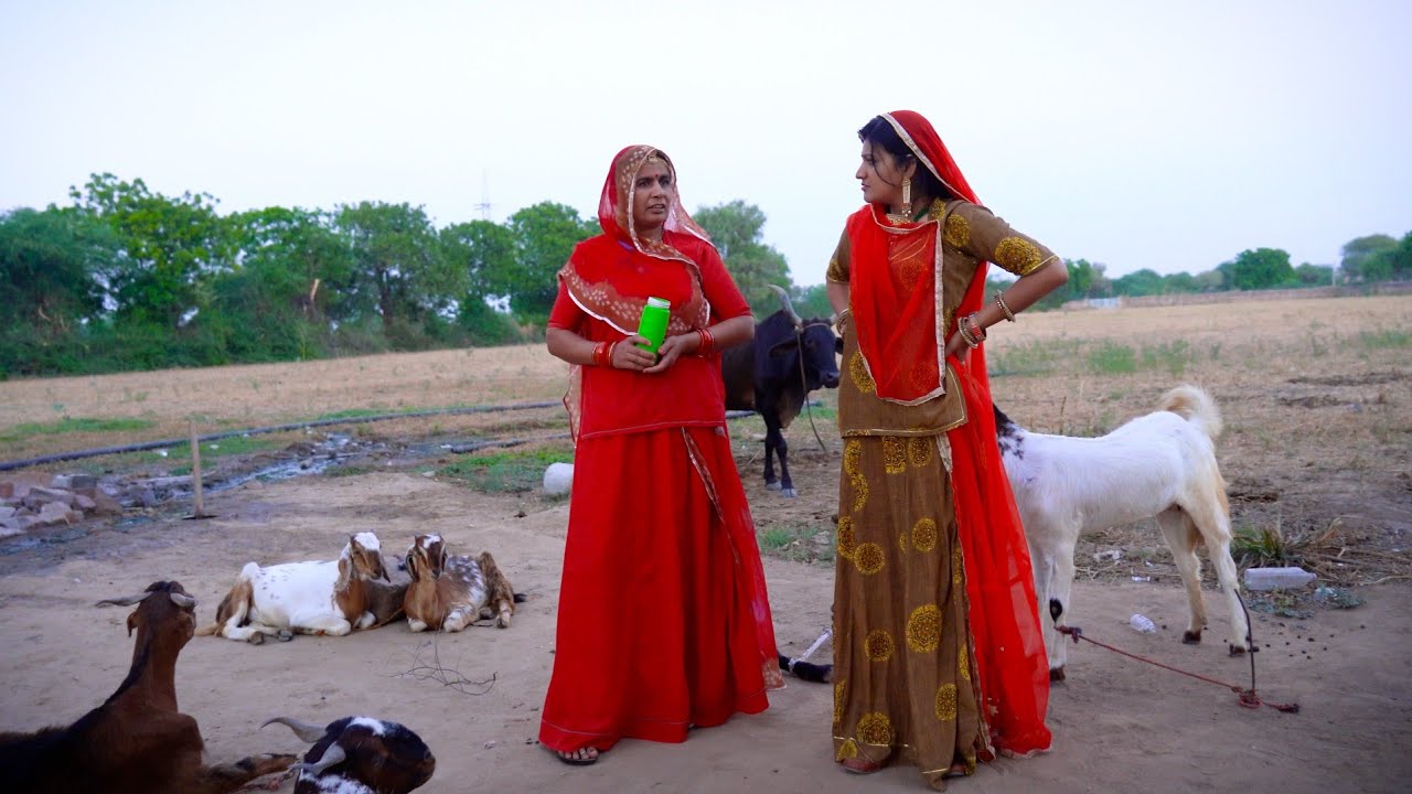 जेठानी ने देवरानी की बकरी का दुध निकाला चोरी से | देराणी-जेठाणी राजस्थानी देशी कॉमेडी शो DJC STUDIO