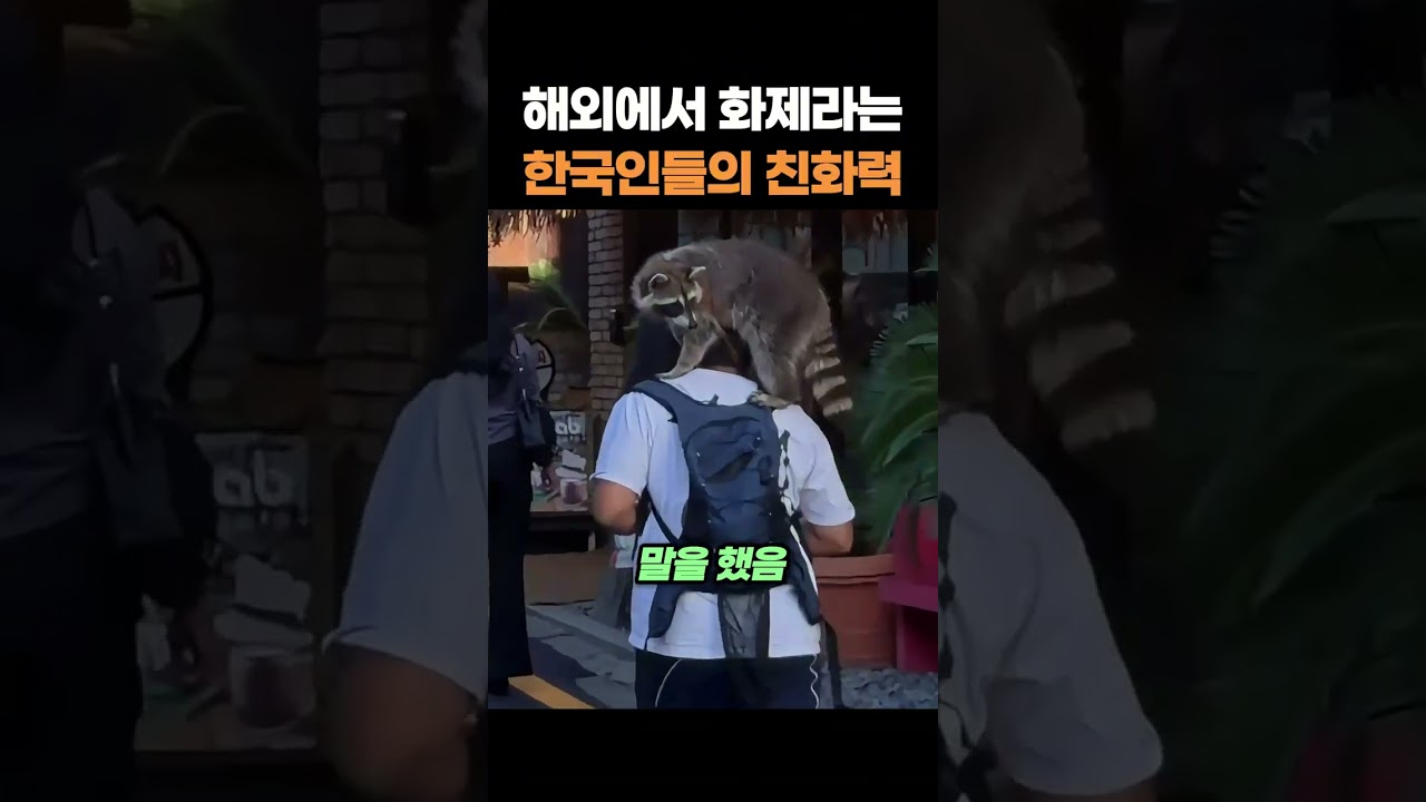 해외에서 화제라는 한국인들의 친화력