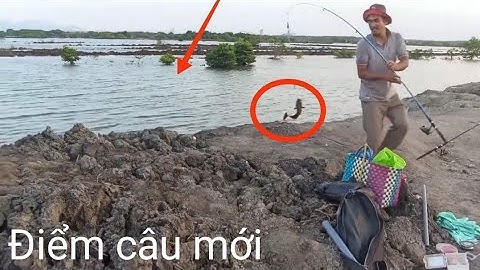 Câu Đêm /Điểm câu mới Trúng Bầy cá Ngát giựt liên tục/ Câu cá thiên nhiên/ Đam mê câu cá