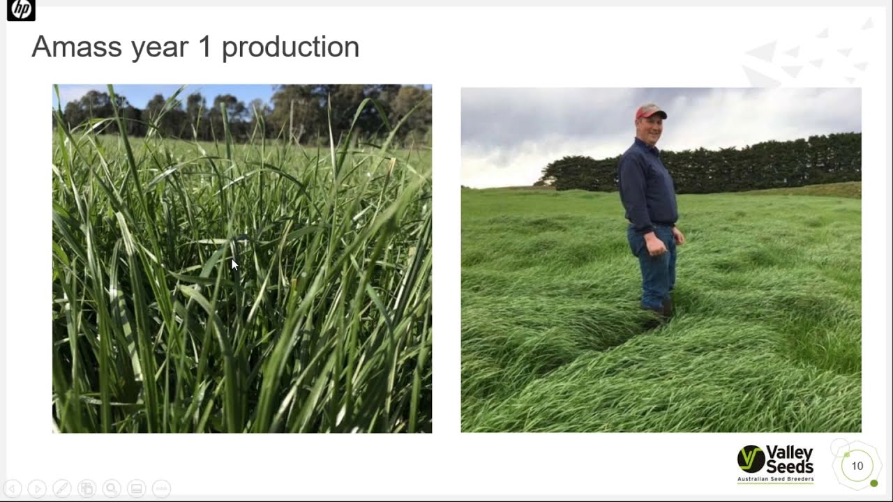 Webinar recording: Expert panel - your pasture questions answered