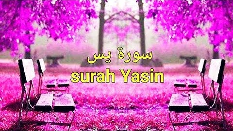 سورة یس 💜 Surah Ya-Sin بلال دربالی Bilal Darbali