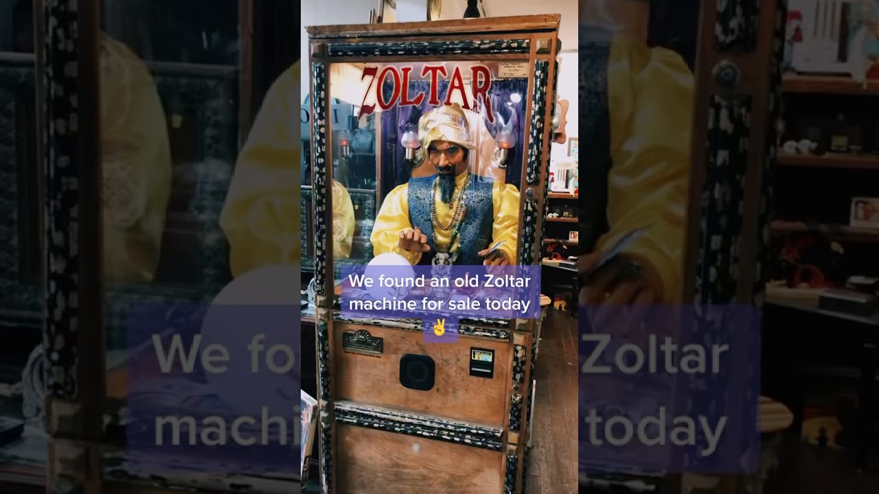 Zoltar’s Fortune 