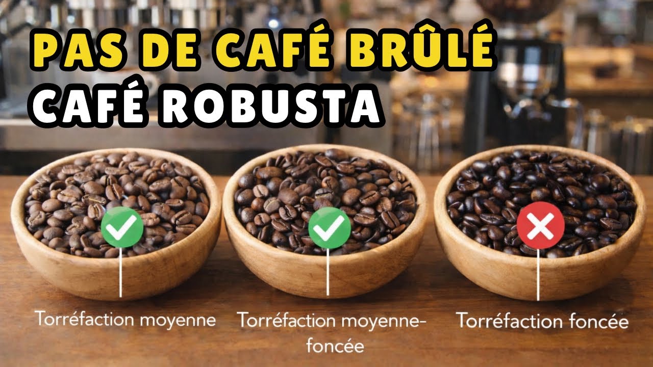 Café Robusta en Espresso : plus de crema, plus d’énergie — pourquoi ?