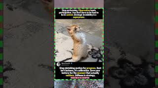 #CatLogic #AntiGrind #PsychologyShorts #BehavioralScience #ModernSurvival