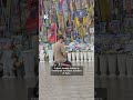 Young man kneels at Kyiv flag memorial to honor fallen defenders