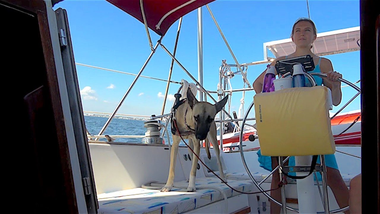 Sailing with our DOG For The 1st Time Ep 92