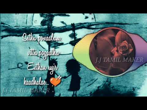 love-feeling-|-sethu-povathu-enthan-|-whatsapp-status