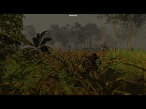 Grass Shader Test