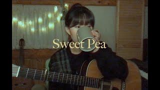 Sweet Pea (COVER) _ Amos Lee chords