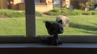 Lps music video Get Back Up Again Fan Video