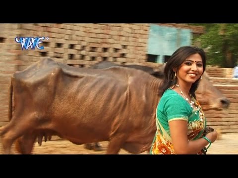 अइसन भैसा न भेटाई - Hothlali Kare Las Las | Sakal Balmua | Bhojpuri Ong