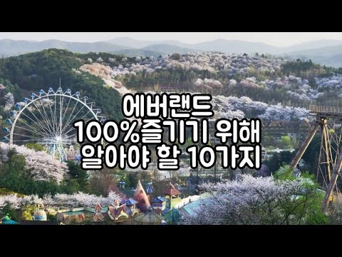 에버랜드 100 즐기기 위한 10가지 꿀팁 쉐어하우스 