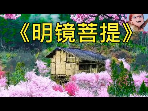 心灵音乐2022 | 明镜菩提