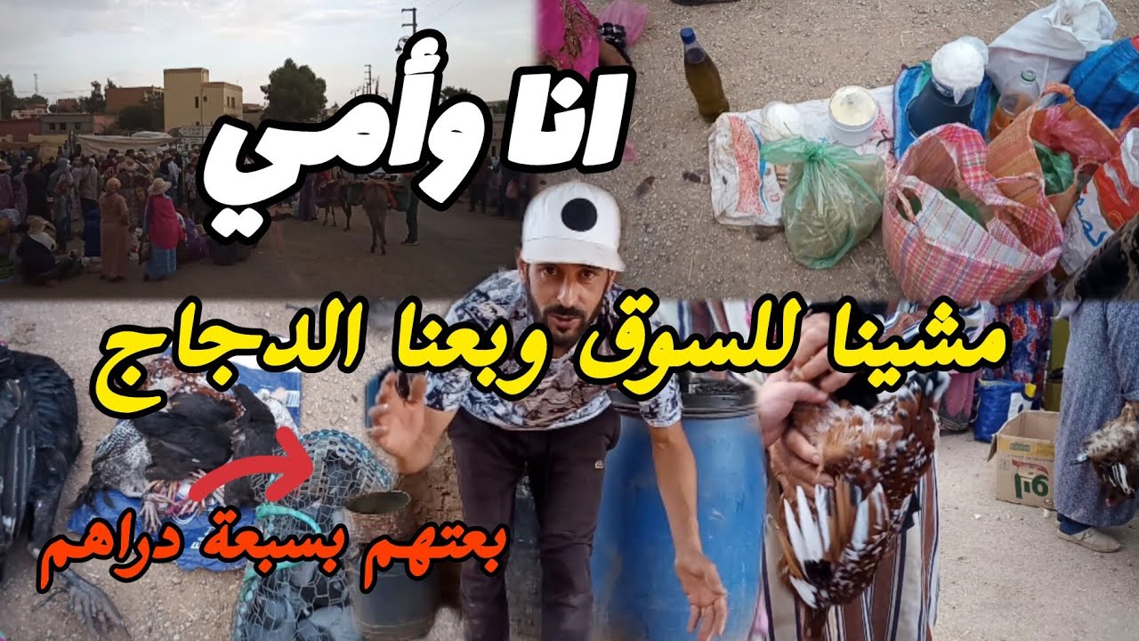 آخر مرة نبيع الحمام فالسوق بعت الدجاج والبيبي 