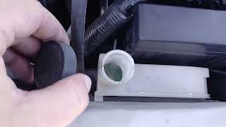 How to Add Coolant in a Nissan Juke (2011–2017)