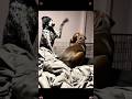 When you have two dogs. 🐶 🥰 #dog #usa🇺🇸 #funny #dogsoftiktok #tiktok