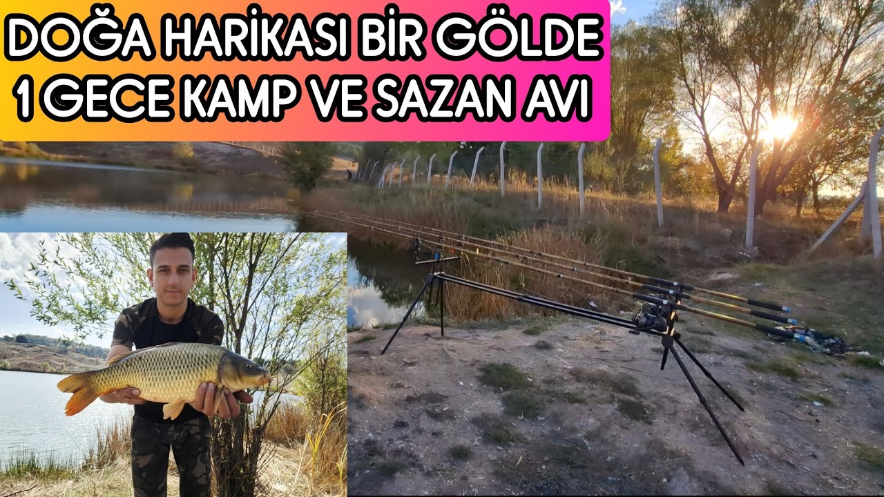 DOĞA HARİKASI GÖLDE 1 GECE KAMP VE SAZAN AVI.#carpfishing #sazanavı #kamp #camping #carp #new