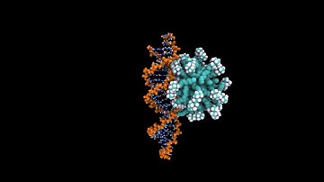 A micelle-DNA binding