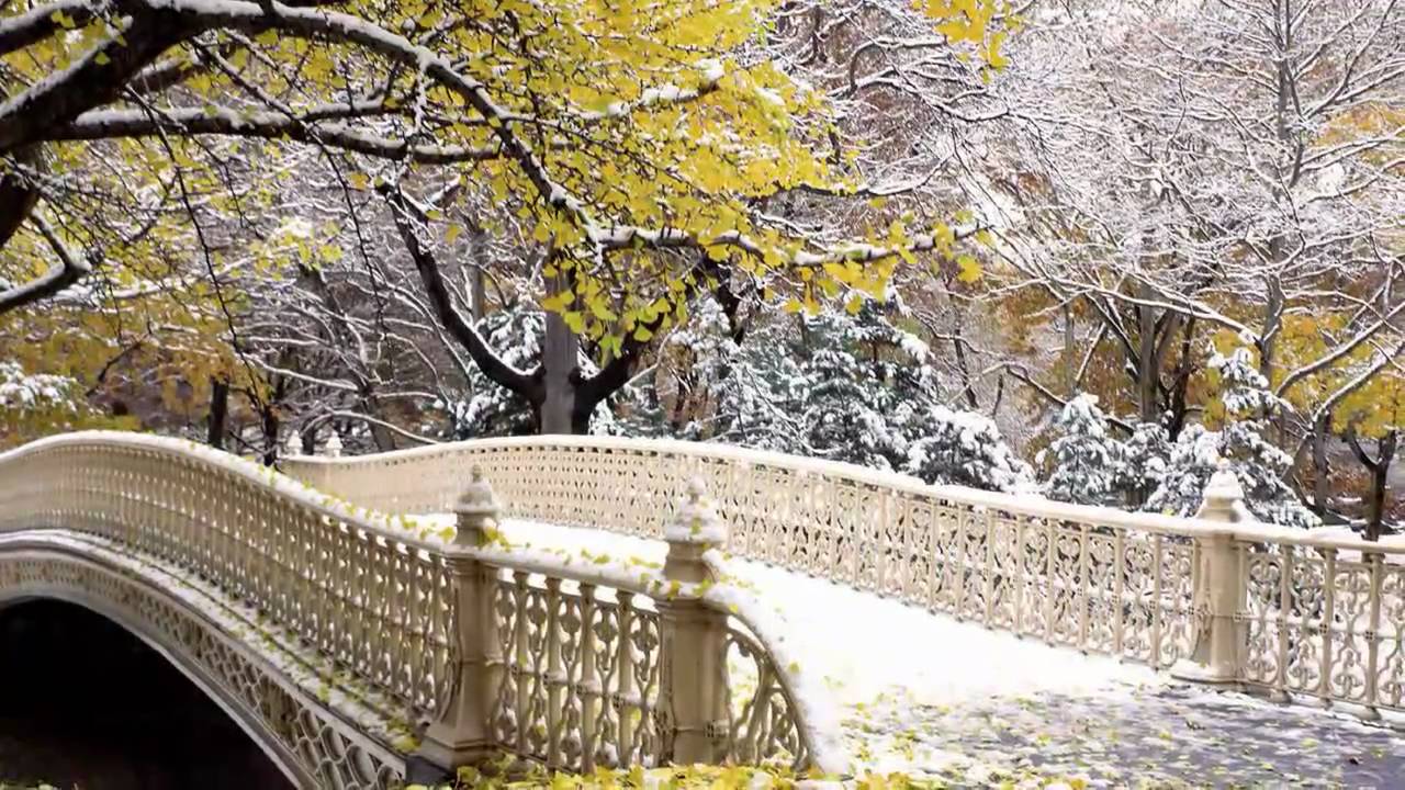 New York State Of Mind