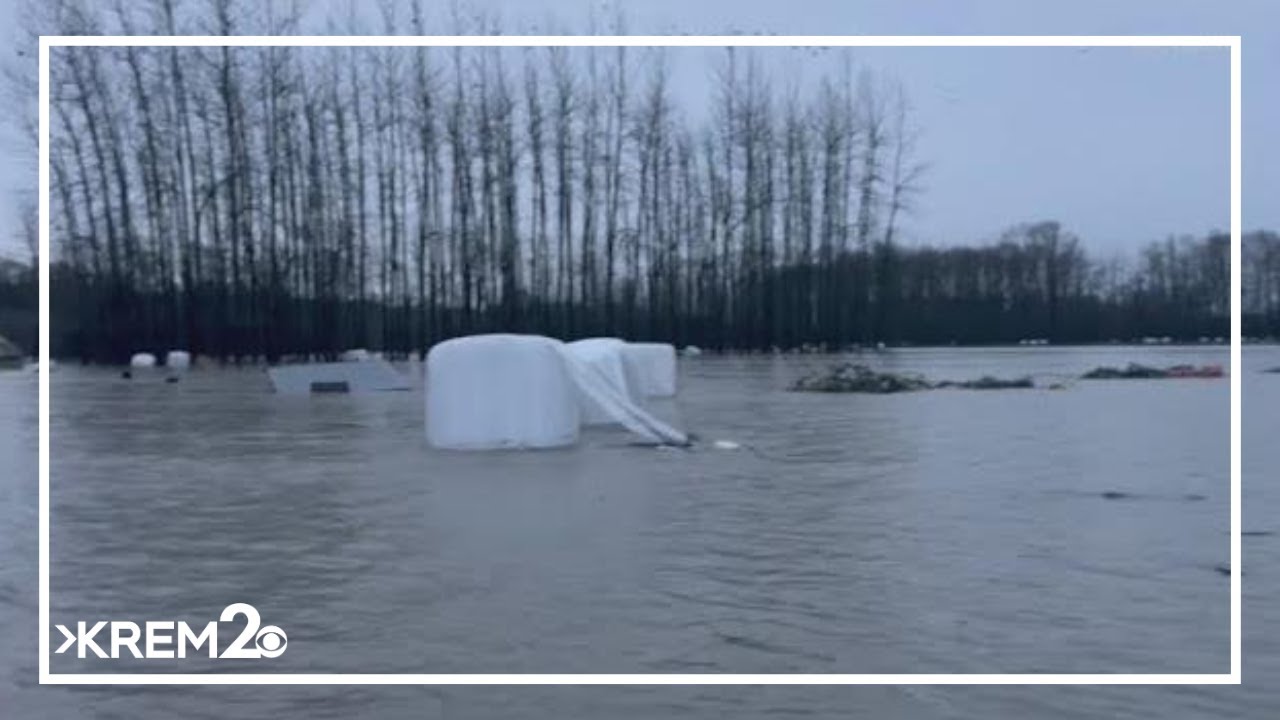 Food bank farm in Western Washington flooded after storms - YouTube