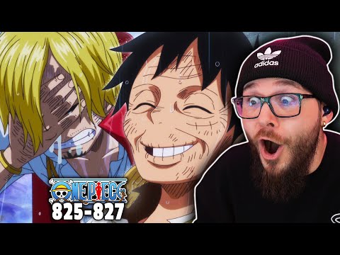 Luffy Almost Dies from Fasting... (One Piece Reaction)