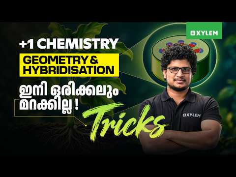 Plus One Chemistry | Geometry & Hybridisation ഇനി ഒരിക്കലും മറക്കില്ല Tricks💯 | Xylem Plus One
