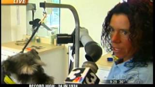 NBC - CEO Howard Perlmuter showcases Kitty City and Grooming at The Barkley Pet Hotel & Day Spa