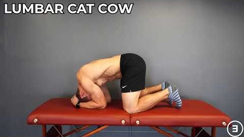 Lumbar Cat Cow  | Spine Range of Motion | Flexion & Extension