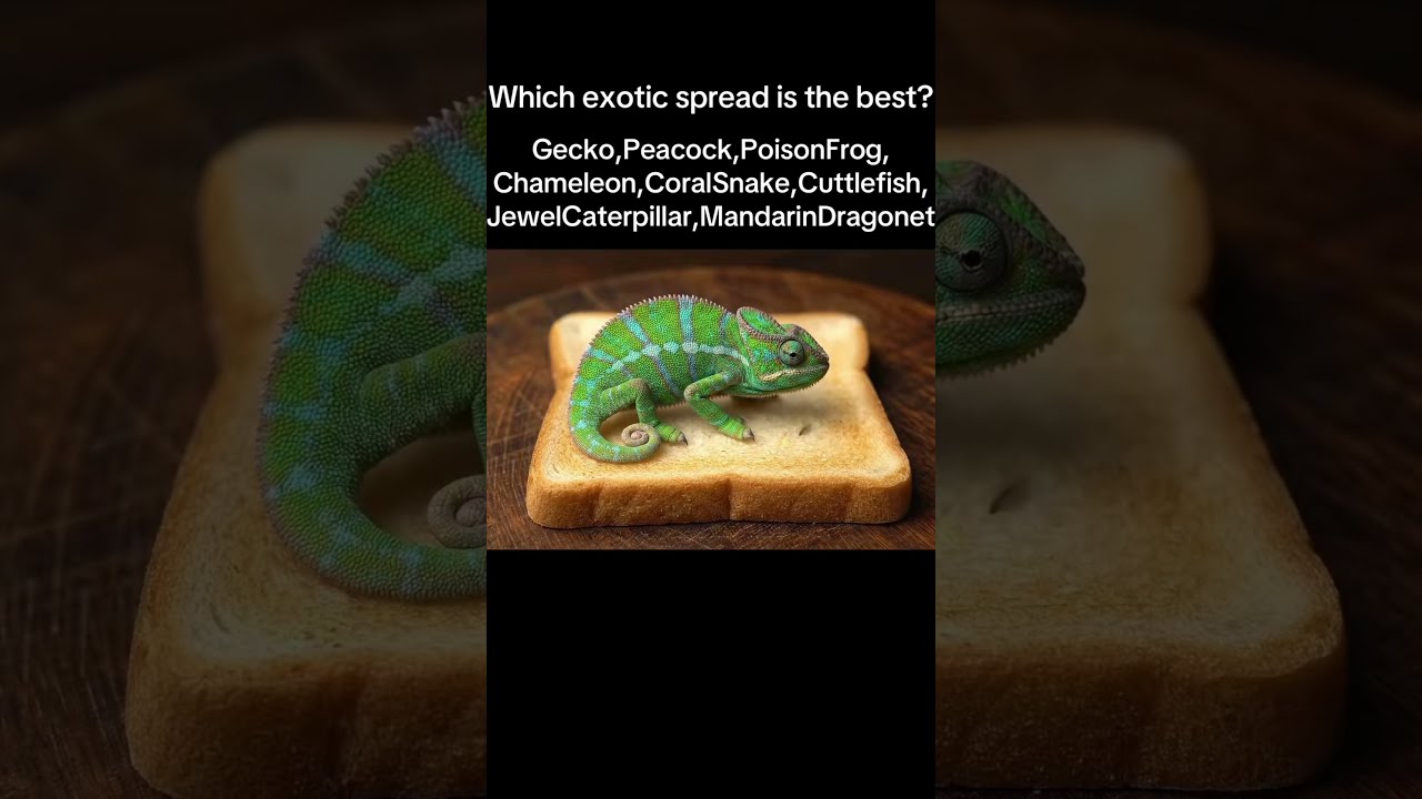 AI ASMR Spreading Animals On Toast Asmr Asmrsounds Relax Satisfying Aiasmr